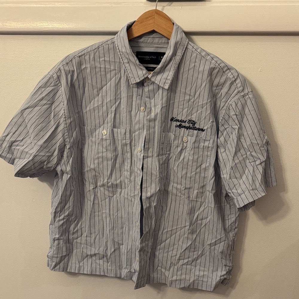 Abercrombie & Fitch Gray Striped Button Down Shirt